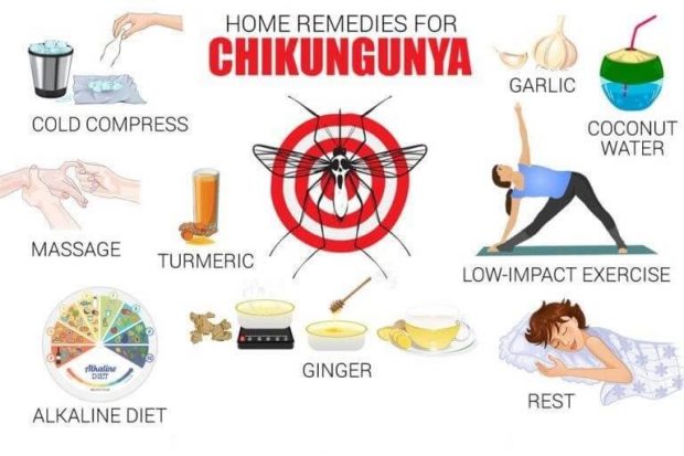 Chikungunya Virus - Chikungunya Symptoms - Chikungunya Rash - Joints Pain - Chikungunya Recovery Time - Chikungunya Treatment Food